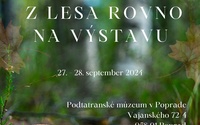 Z lesa rovno na výstavu 2024